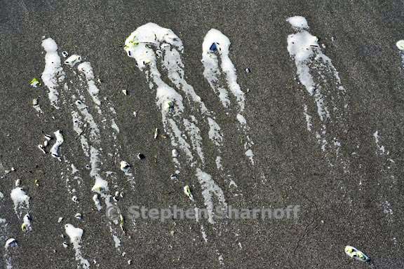 foam and sand 3715 2 graphic